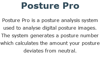 Posture Pro Posture Pro is a posture analysis system used to analyse digital posture images. The system generates a posture number which calculates the amount your posture deviates from neutral.