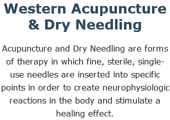 Western Acupuncture & Dry Needling Acupuncture and Dry Needling are forms of therapy in which fine, sterile, single-use needles are inserted into specific points in order to create neurophysiologic reactions in the body and stimulate a healing effect.